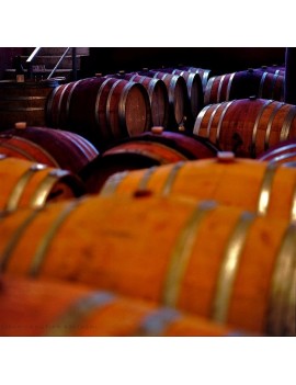 Atelier - L'Art de la Vinification & de l'Elevage