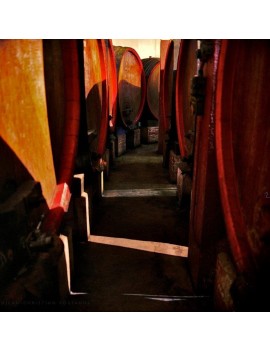 Atelier - L'Art de la Vinification & de l'Elevage