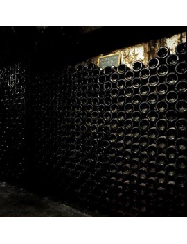 Atelier - L'Art de la Vinification & de l'Elevage